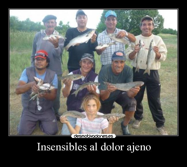 Insensibles al dolor ajeno -