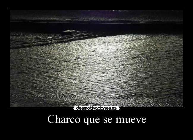 Charco que se mueve - 