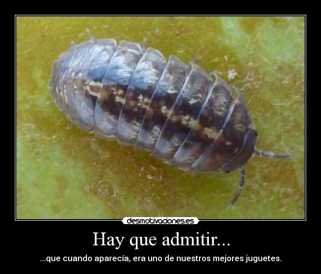 Hay que admitir... - ...que cuando aparecía, era uno de nuestros mejores juguetes.