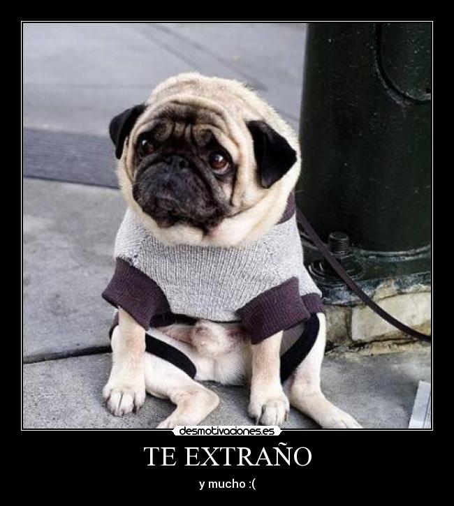 TE EXTRAÑO -