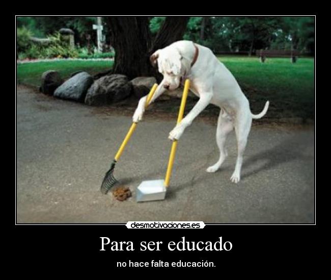 Para ser educado - no hace falta educación.