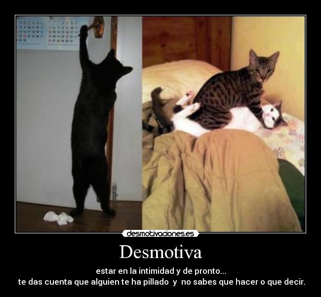 Desmotiva - estar en la intimidad y de pronto...
te das cuenta que alguien te ha pillado y no sabes que hacer o que decir.