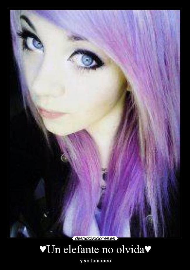 carteles vanessa maya velez desmotivaciones