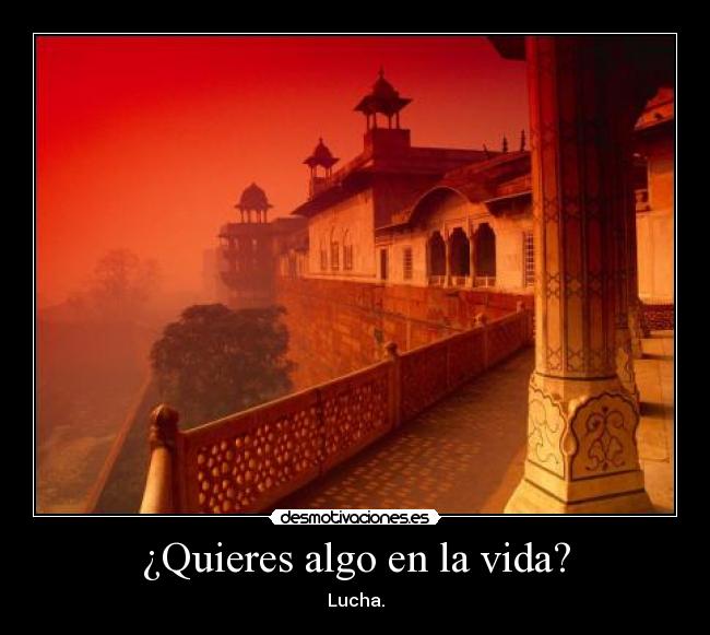 carteles vida cuando veas tren pasar preguntes hacia donde solo sube averigualo desmotivaciones