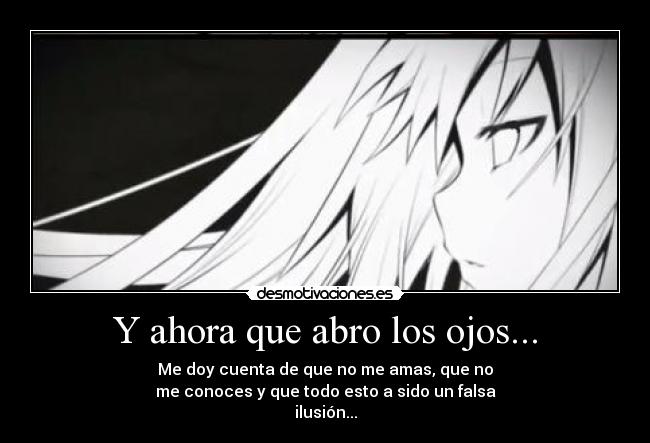 Y ahora que abro los ojos... - Me doy cuenta de que no me amas, que no
me conoces y que todo esto a sido un falsa
ilusión...