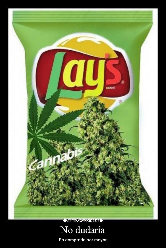 No dudaría - En comprarla por mayor.
