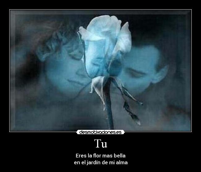 carteles desmotivaciones