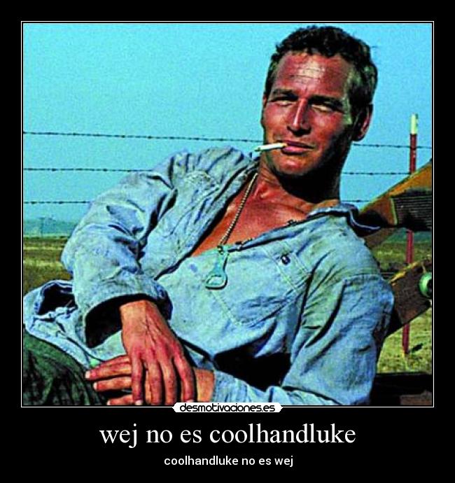 wej no es coolhandluke - coolhandluke no es wej