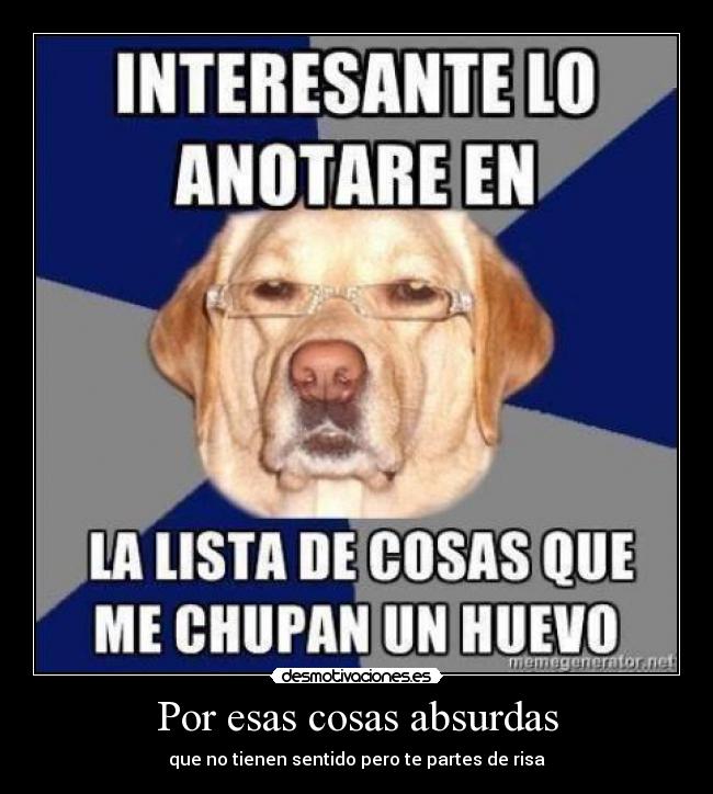 Por esas cosas absurdas - que no tienen sentido pero te partes de risa