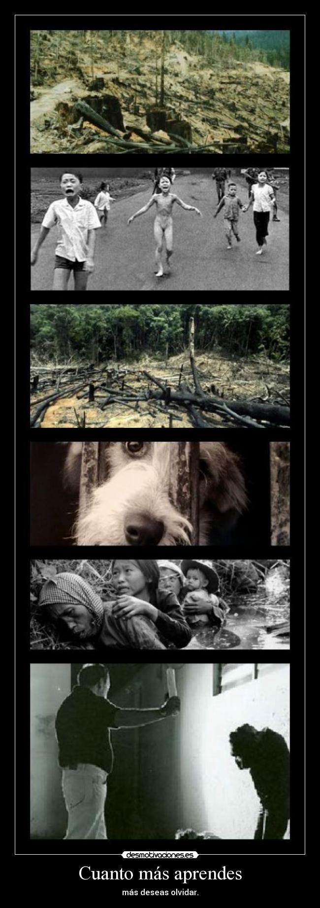 carteles geejota desmotivaciones