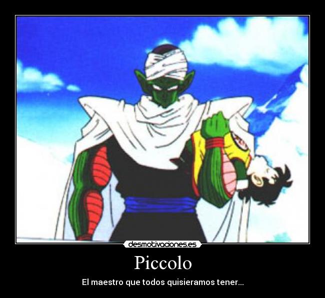 Piccolo - El maestro que todos quisieramos tener...