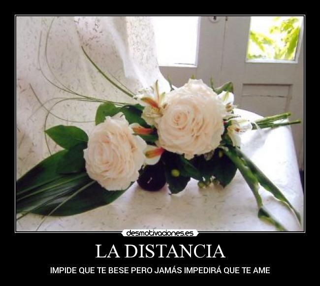 carteles distancia teresa alanis desmotivaciones