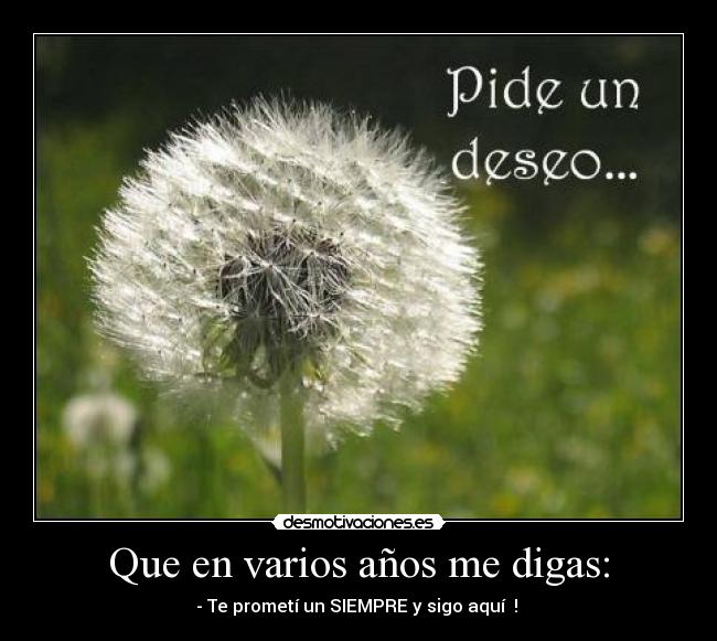 Que en varios años me digas: - - Te prometí un SIEMPRE y sigo aquí ! ♥