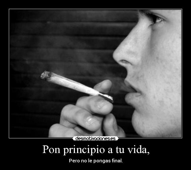 carteles vida final desmotivaciones