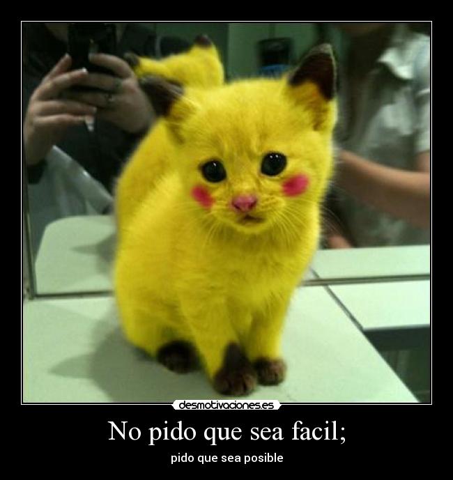 No pido que sea facil; -