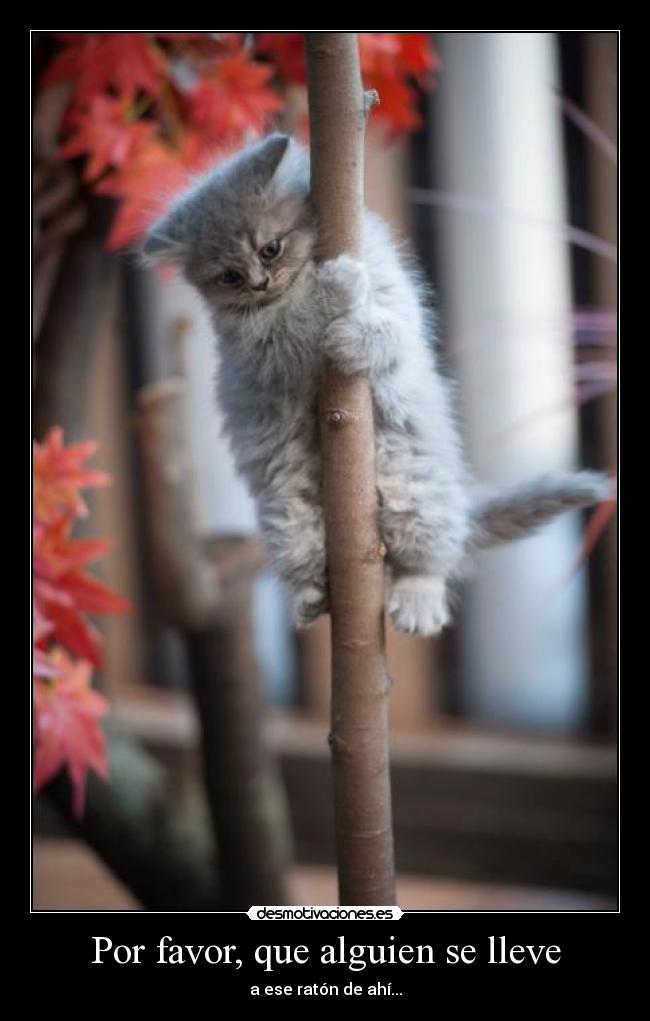 Por favor, que alguien se lleve - a ese ratón de ahí...