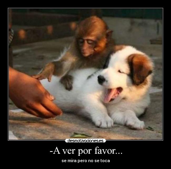 -A ver por favor... -