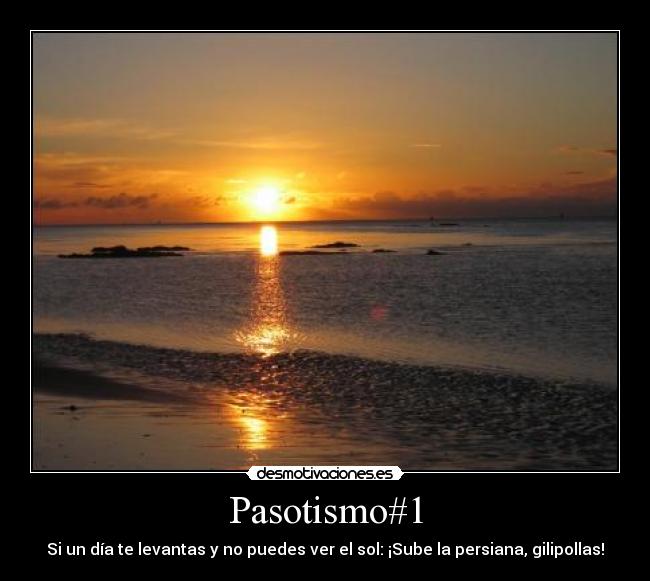 Pasotismo#1 - Si un día te levantas y no puedes ver el sol: ¡Sube la persiana, gilipollas!