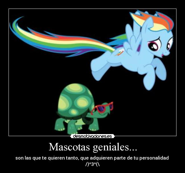 Mascotas geniales... - son las que te quieren tanto, que adquieren parte de tu personalidad  /)^3^(\