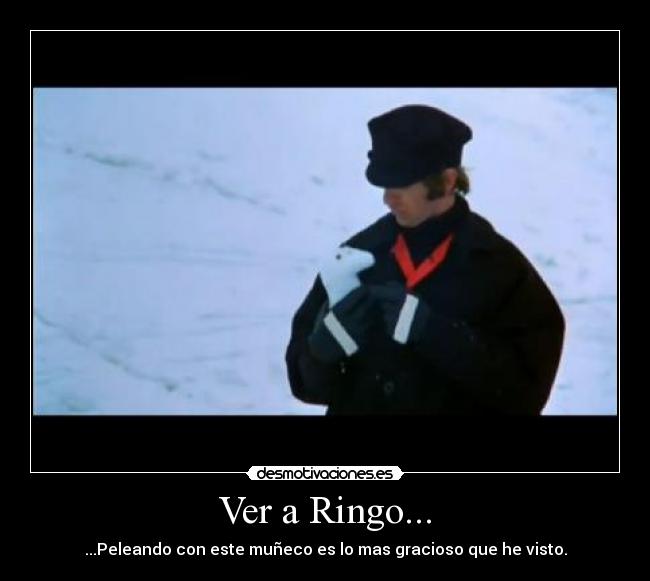 Ver a Ringo... - 