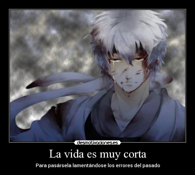 carteles vida harukaze raptorhunters anime gintama shiroyasha vida muy corta para lamentarse por los errores desmotivaciones