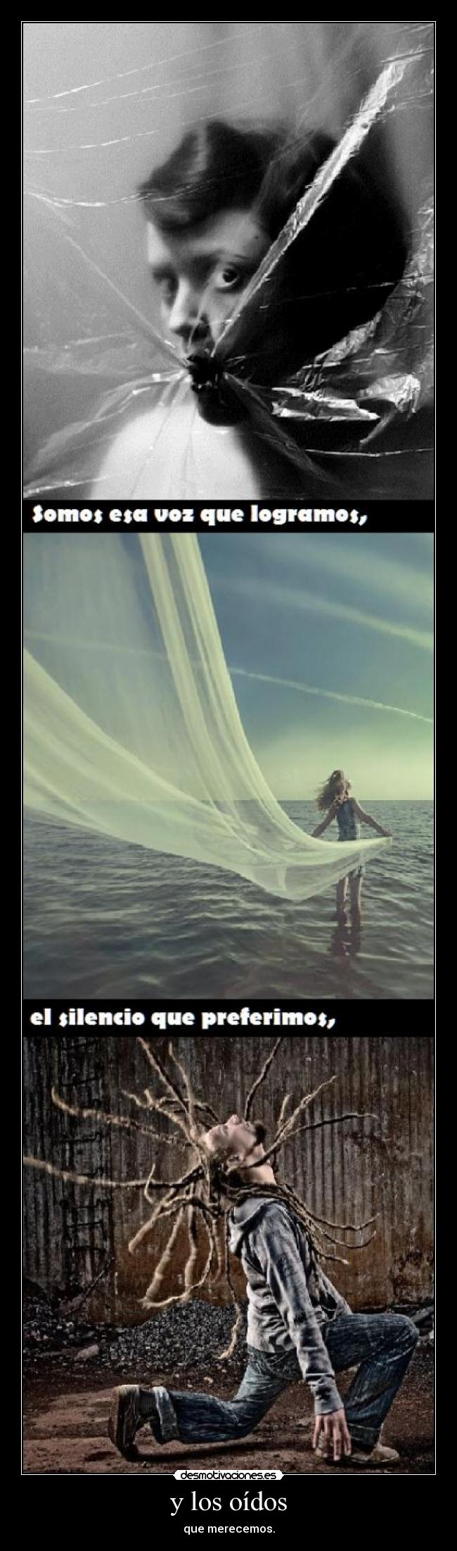 carteles amm mario doldan varios desmotivaciones