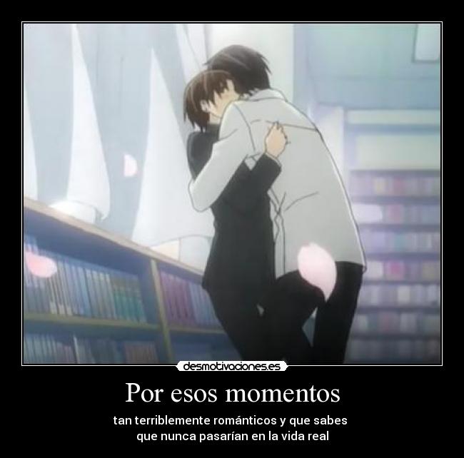 carteles yaoi sekaiichi hatsukoi romantico amor homosexual homosexualidad desmotivaciones