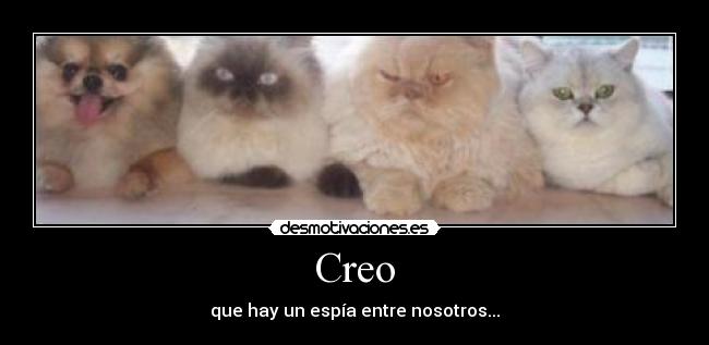 Creo - que hay un espía entre nosotros...