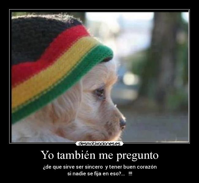 Yo también me pregunto - ¿de que sirve ser sincero  y tener buen corazón
si nadie se fija en eso?...  ♥!!!