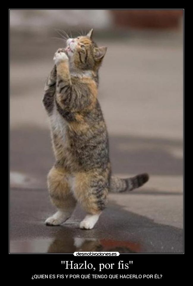 Hazlo, por fis -
