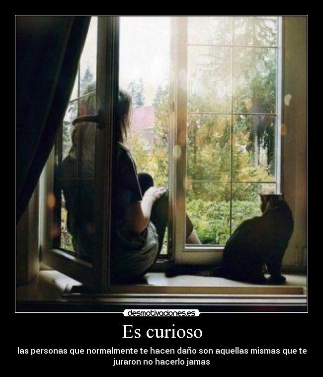 Es curioso -