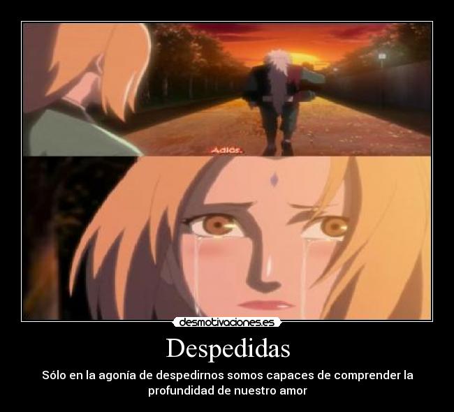 Despedidas - Sólo en la agonía de despedirnos somos capaces de comprender la
profundidad de nuestro amor