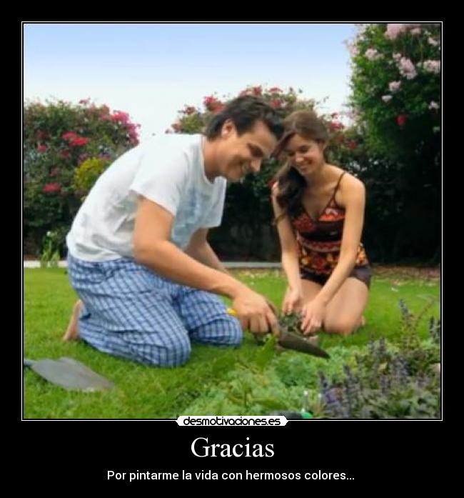 carteles silvestre123 desmotivaciones