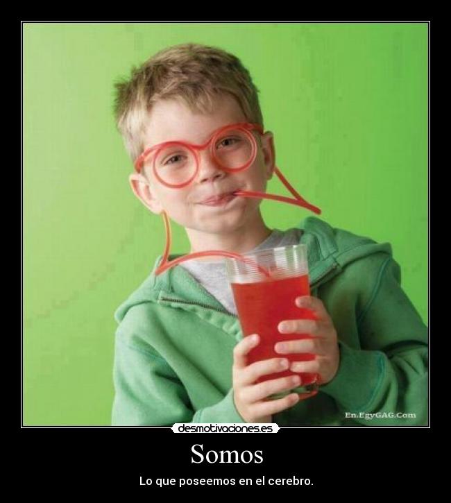 Somos - Lo que poseemos en el cerebro.