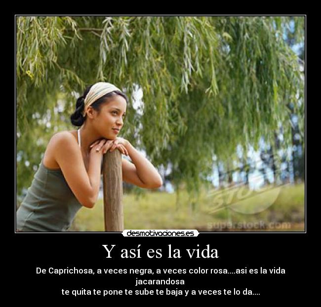 Y así es la vida -
