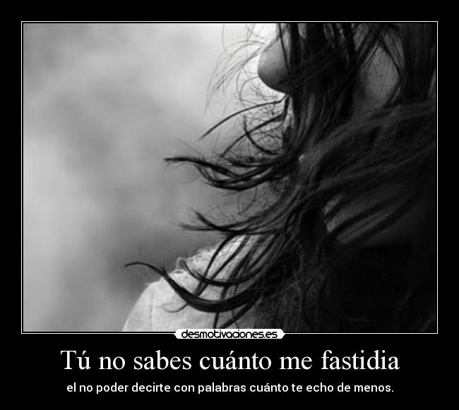 Tú no sabes cuánto me fastidia - el no poder decirte con palabras cuánto te echo de menos.