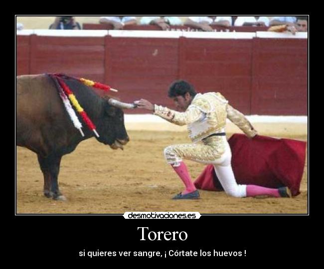 Torero - 