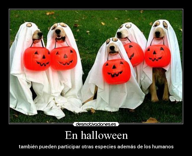 En halloween - también pueden participar otras especies además de los humanos