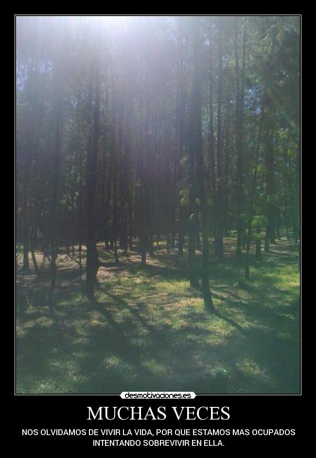 MUCHAS VECES - NOS OLVIDAMOS DE VIVIR LA VIDA, POR QUE ESTAMOS MAS OCUPADOS
INTENTANDO SOBREVIVIR EN ELLA.