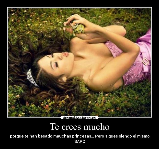 Te crees mucho - porque te han besado mauchas princesas... Pero sigues siendo el mismo SAPO