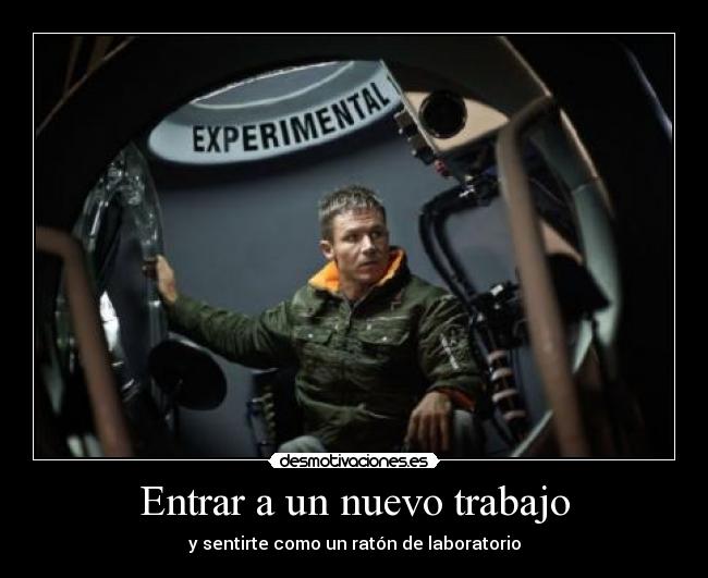 Entrar a un nuevo trabajo - y sentirte como un ratón de laboratorio
