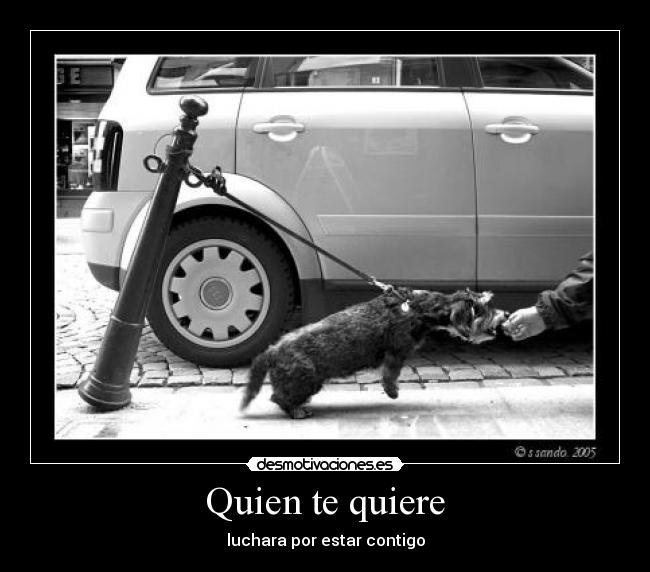 Quien te quiere - luchara por estar contigo
