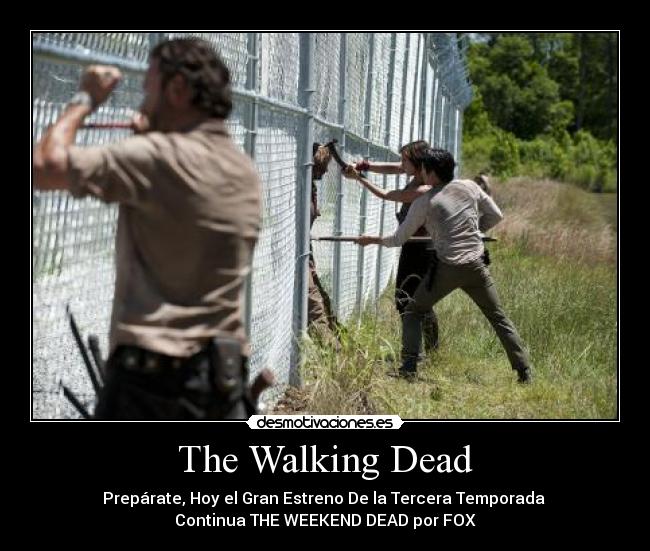 The Walking Dead - 