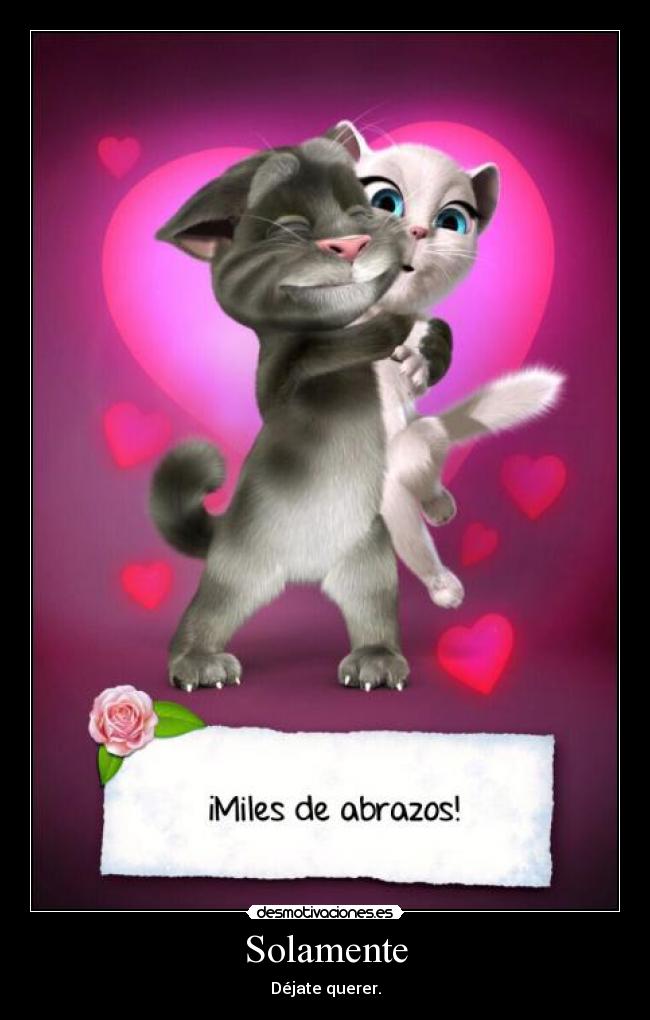 carteles amor querer abrazos alegria humor tom gata gatos corazones love color desmotivaciones