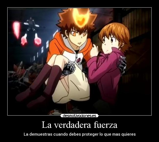 carteles verdadera fuerza anime otaku tsuna kyoko hitman rebonr desmotivaciones