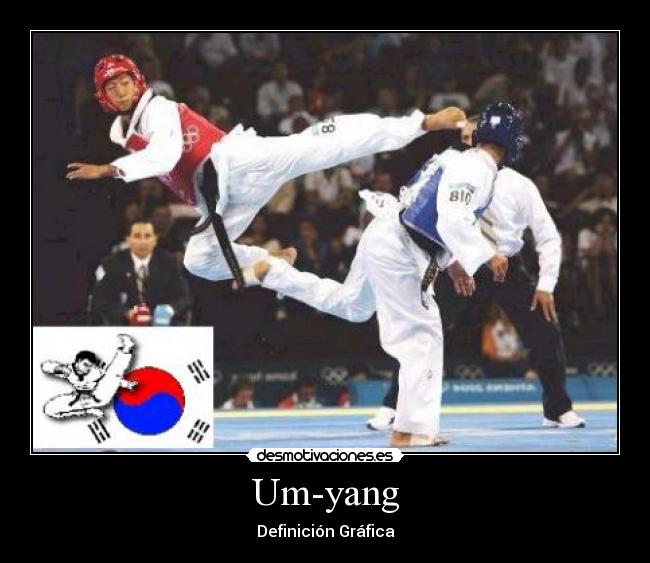 carteles taekwondo desmotivaciones