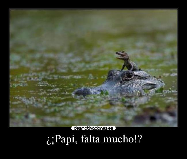 ¿¡Papi, falta mucho!? - 