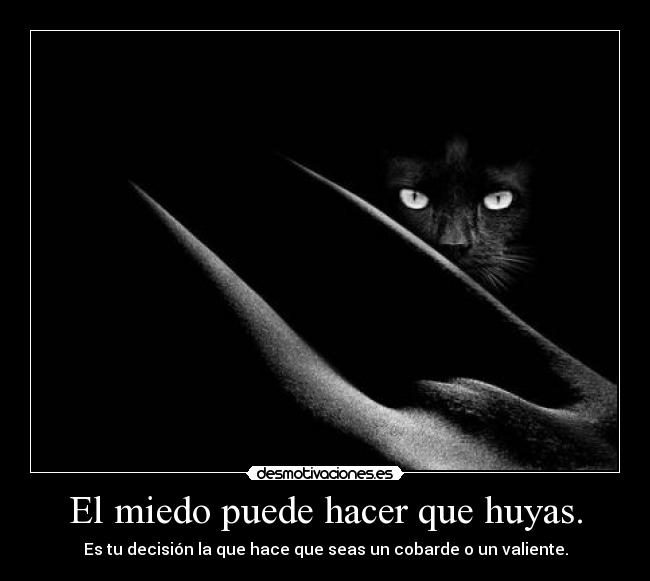 carteles miedo miedo clave huyes mardicion gitana xdddd meaburro pis desmotivaciones