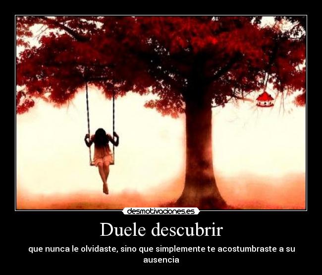 Duele descubrir - que nunca le olvidaste, sino que simplemente te acostumbraste a su ausencia