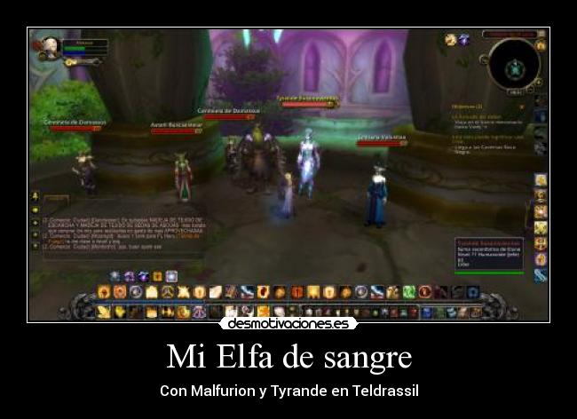 Mi Elfa de sangre - Con Malfurion y Tyrande en Teldrassil